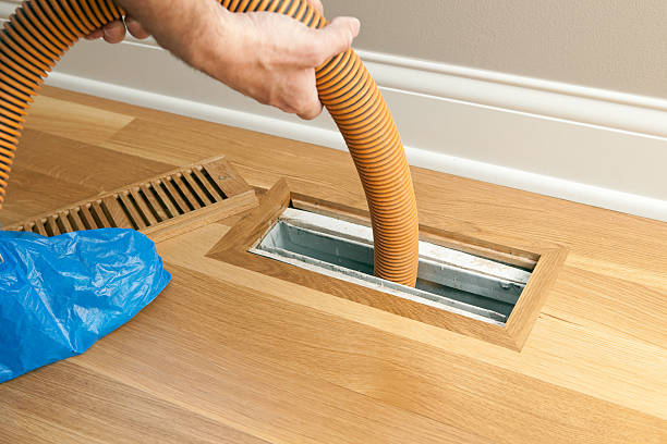 Best Local Air Duct Cleaning Services  in Fruitland, NC